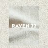 raven-22