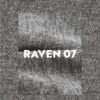 raven-7